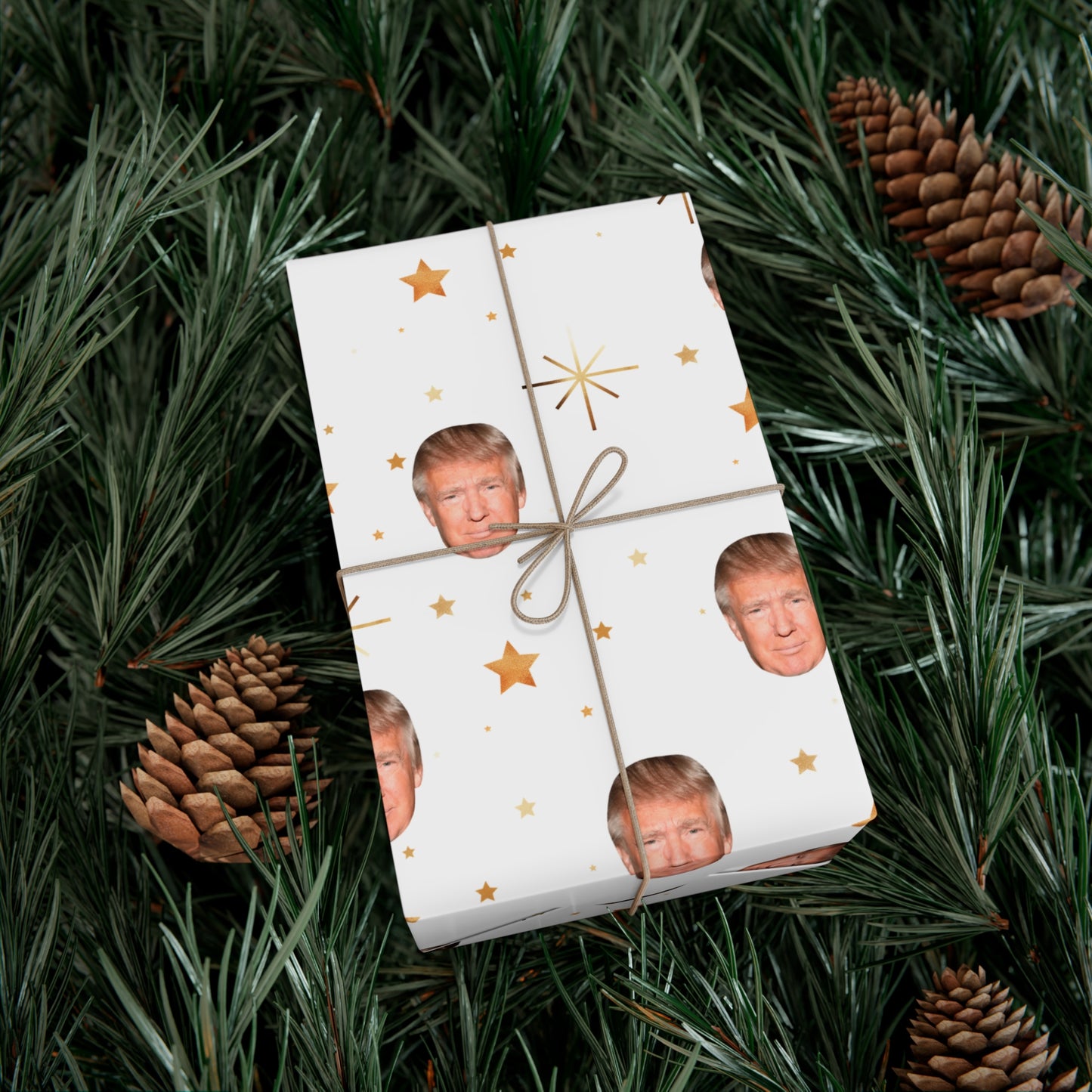 Twinkle Twinkle Donald Trump