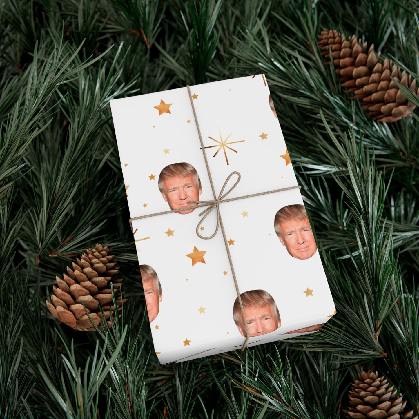Twinkle Twinkle Donald Trump